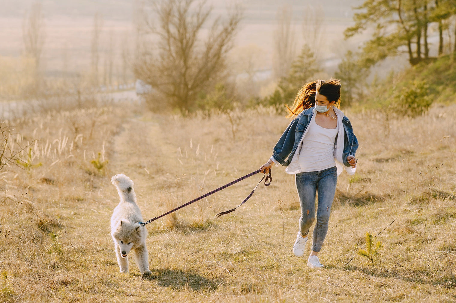 Why Does My Dog Sniff Everything During Walks?