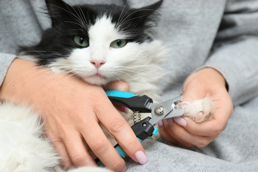 Cat Nail