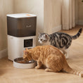 Load image into Gallery viewer, 6L Smart Cat Feeder with HD Camera for 2 Cats Dual-band WiFi & App Timed Feeding
