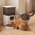 Load image into Gallery viewer, 6L Automatic Cat Feeder with App Control Timed 1-10 Meals & 10s Voice Recorder
