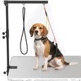 Load image into Gallery viewer, Dog Grooming Arm with Clamp, Adjustable Foldable Dog Grooming with 2 Loop Noose for Small and Medium Breeds, 18.9" -32.3", Black
