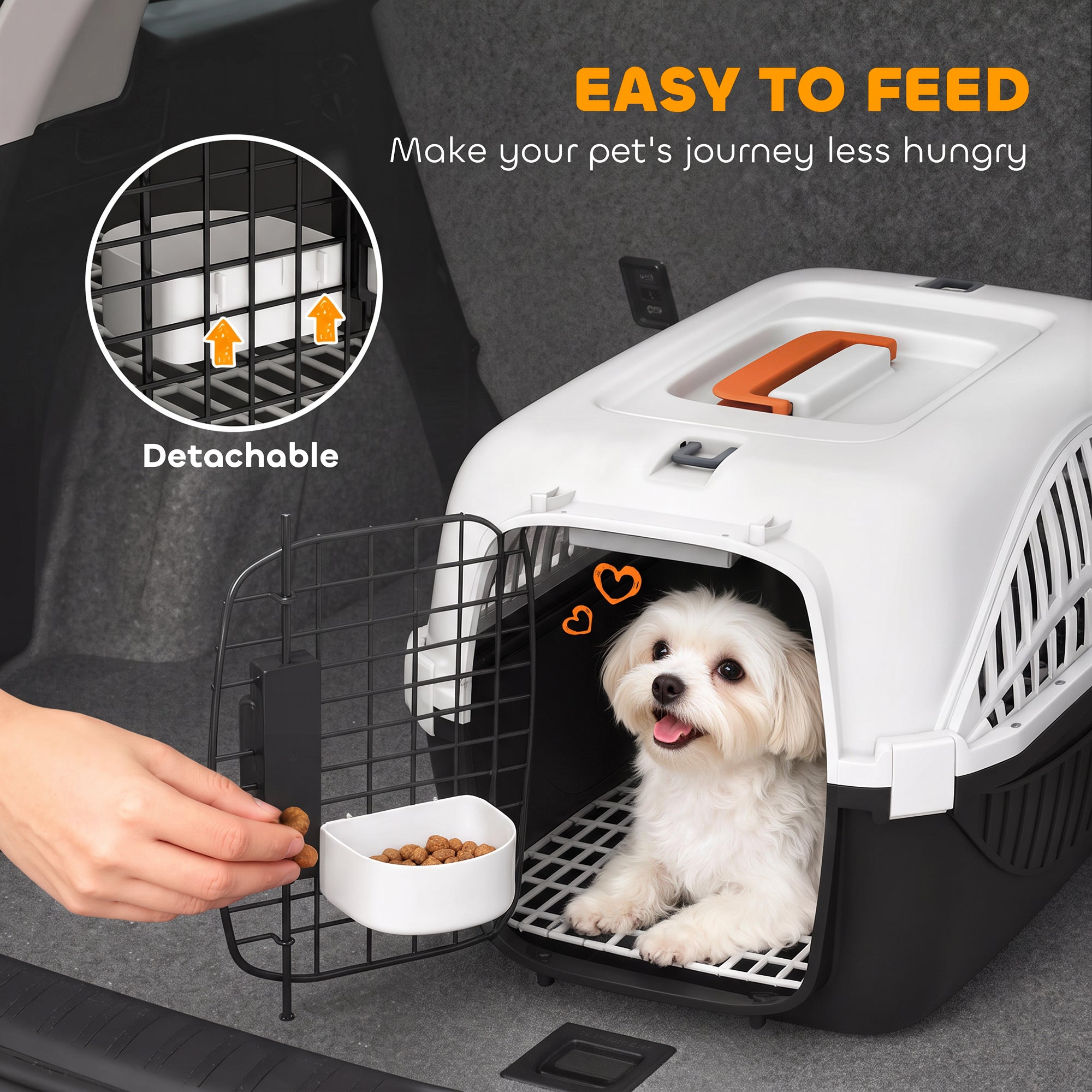 Plastic Dog and Cat Kennel Hard Sided, Airline Approved Pet Carrier for Mini Dogs and Cats, Portable Crate w/ Steel Wire Door, Water Bowl, for Car, Airplane, Outdoor, Black