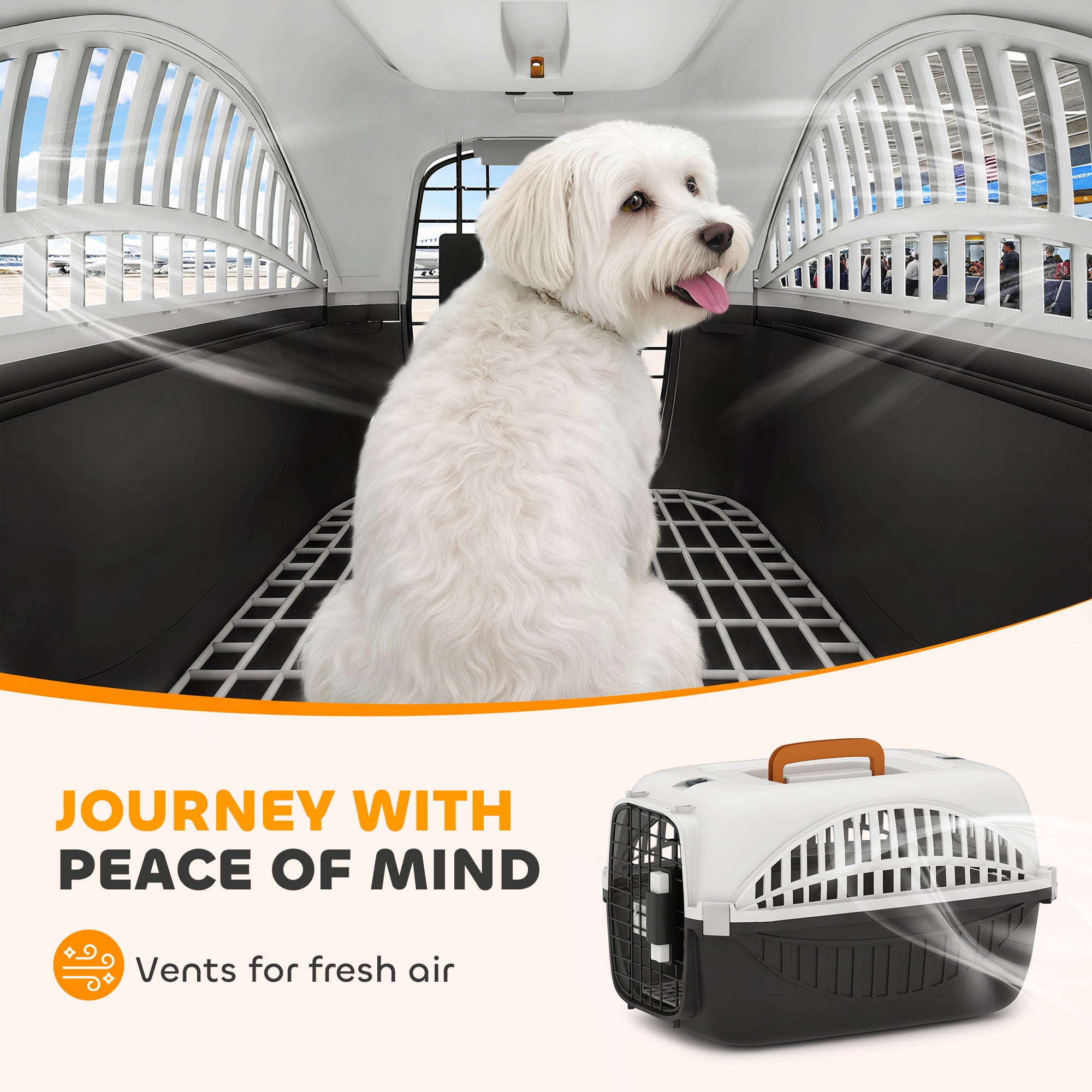 Plastic Dog and Cat Kennel Hard Sided, Airline Approved Pet Carrier for Mini Dogs and Cats, Portable Crate w/ Steel Wire Door, Water Bowl, for Car, Airplane, Outdoor, Black