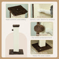 Load image into Gallery viewer, Cat Scratching Post for Indoor Cats, 81cm Cat Scratcher, Vertical Full Scratcher with Natural Sisal Rope, Hanging Ball and Soft Plush, Brown
