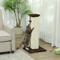Load image into Gallery viewer, Cat Scratching Post for Indoor Cats, 81cm Cat Scratcher, Vertical Full Scratcher with Natural Sisal Rope, Hanging Ball and Soft Plush, Brown
