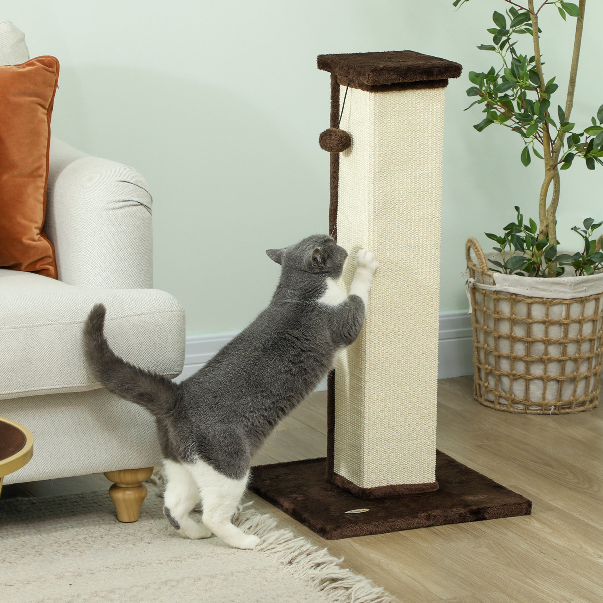 Cat Scratching Post for Indoor Cats, 81cm Cat Scratcher, Vertical Full Scratcher with Natural Sisal Rope, Hanging Ball and Soft Plush, Brown