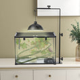 Load image into Gallery viewer, Reptile Lamp Stand, Adjustable Height and Width Heat Lamp for Reptile Amphibian Terrariums, Light Stand with Hook Hanging Steel Base - Black
