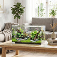 Load image into Gallery viewer, 43L Fish Tank, Glass Aquarium, Small Fish Tank with Protective Base Mat, for Shrimps, Turtles, Transparent, 50 x 30 x 30 cm
