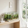 Load image into Gallery viewer, 43L Fish Tank, Glass Aquarium, Small Fish Tank with Protective Base Mat, for Shrimps, Turtles, Transparent, 50 x 30 x 30 cm
