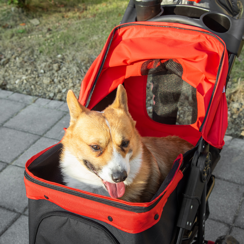 Luxury Pet Stroller with 3 Wheels, One-Click Fold & Adjustable Canopy for Dogs/Cats, Red