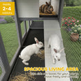 Load image into Gallery viewer, Large Rabbit Hutch, 2-Tier Wooden Guinea Pig Hutch with Double Side Run Boxes, Outdoor Bunny Cage Hide House with Waterproof Roof, Sliding Tray, Ramp, 230 x 53 x 93.5cm, Light Grey
