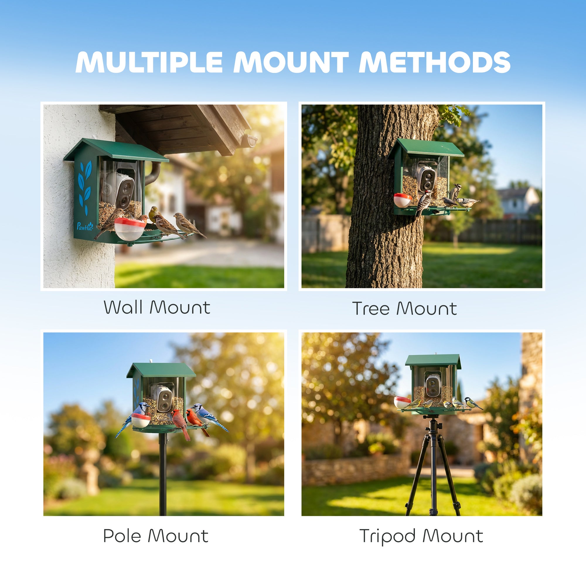 Smart Bird Feeder with Camera, AI Identify 16000+ Birds, 2K HD Live Video, Auto Video Capture, Motion Detection, Instant Arrival Alerts, 3W Solar Powered, Bird Lover Gifts