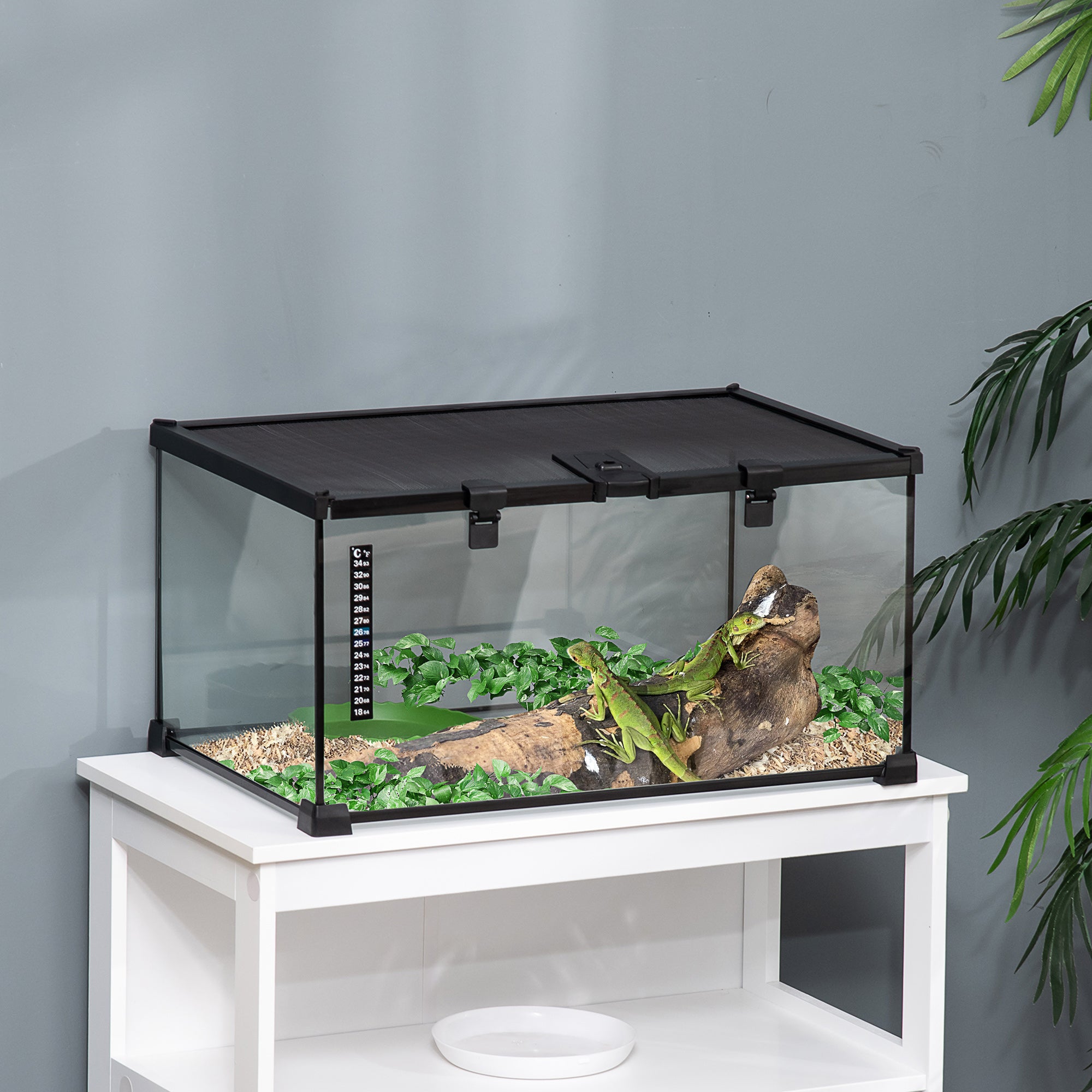 Glass Reptile Terrarium, Jumping Spider Enclosure with Thermometer, Water Basin, Full View Visually for Lizards, Horned Frogs, Snakes, Spiders - Black