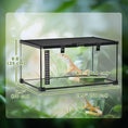 Load image into Gallery viewer, Glass Reptile Terrarium, Jumping Spider Enclosure with Thermometer, Water Basin, Full View Visually for Lizards, Horned Frogs, Snakes, Spiders - Black
