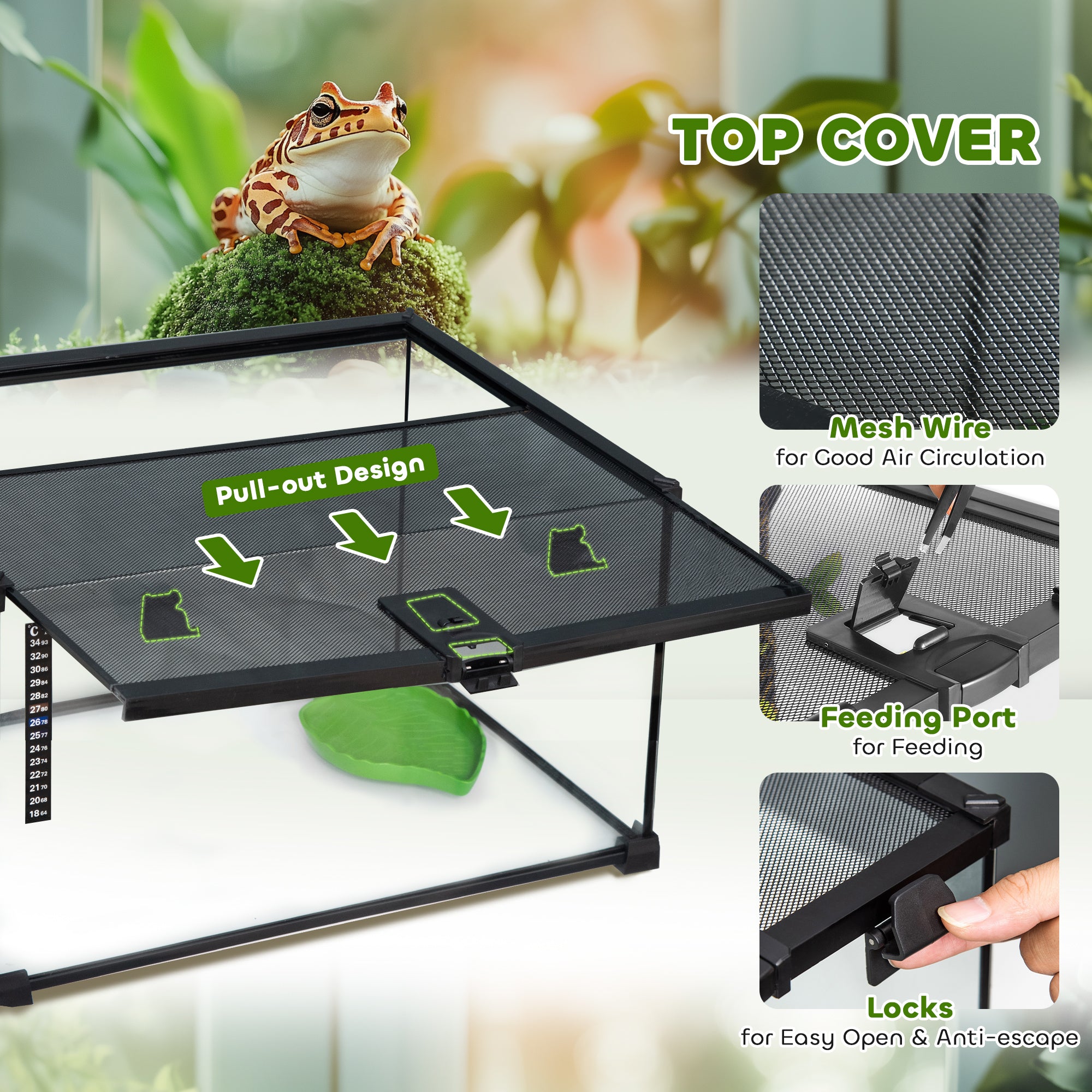 Glass Reptile Terrarium, Jumping Spider Enclosure with Thermometer, Water Basin, Full View Visually for Lizards, Horned Frogs, Snakes, Spiders - Black
