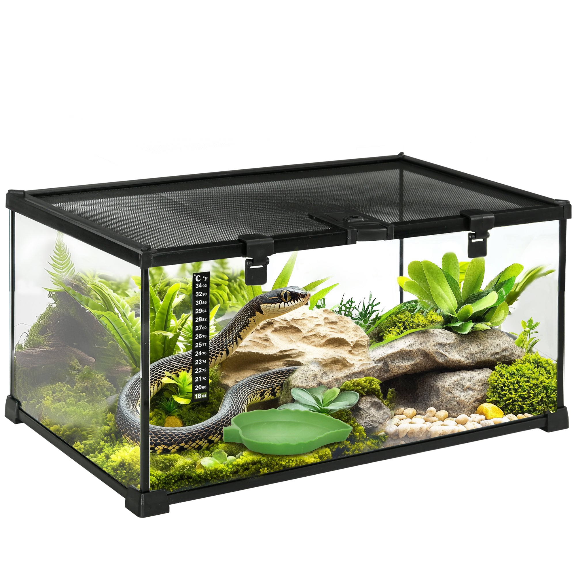 Glass Reptile Terrarium, Jumping Spider Enclosure with Thermometer, Water Basin, Full View Visually for Lizards, Horned Frogs, Snakes, Spiders - Black