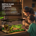 Load image into Gallery viewer, Glass Reptile Terrarium, Jumping Spider Enclosure with Thermometer, Water Basin, Full View Visually for Lizards, Horned Frogs, Snakes, Spiders - Black

