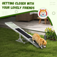 Load image into Gallery viewer, Wooden Pet Seesaw for Big Dogs, Agility Training Equipment for Dogs with Anti-Slip surface, 180 x 30 x 30cm - White
