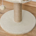 Load image into Gallery viewer, Small Cat Tree with Scratching Post, Perch, Toy Ball, Cat Tower for Indoor Cats - 16" x 16" x 19", Beige
