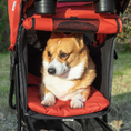Load image into Gallery viewer, Luxury Pet Stroller with 3 Wheels, One-Click Fold & Adjustable Canopy for Dogs/Cats, Red
