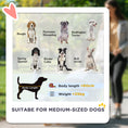 Load image into Gallery viewer, Large Pet Stroller with Shock-Absorbing Wheels One-Click Fold Green Dark Grey
