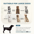 Load image into Gallery viewer, Elevated Comfort Blue Dog Sofa Bed with Thick Cushion for Large-Sized Dogs Dark Blue
