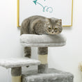 Load image into Gallery viewer, Cat Tree, Cat Tower for Indoor Cats with Sisal Scratching Post, Cat Condo, Hammock, Bed, Ladder, Platforms, Toy Balls for Kittens, Light Grey
