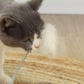Load image into Gallery viewer, Cat Scratching Post, 49cm Cat Scratcher with Sisal Post, Interactive Track Ball Toy, Self Grooming Brush, Hanging Toy Ball, Feather, 5 in 1 Small Kitten Cat Scratch post, Oak Tone
