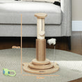 Load image into Gallery viewer, Cat Scratching Post, 49cm Cat Scratcher with Sisal Post, Interactive Track Ball Toy, Self Grooming Brush, Hanging Toy Ball, Feather, 5 in 1 Small Kitten Cat Scratch post, Oak Tone
