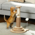 Load image into Gallery viewer, Cat Scratching Post, 49cm Cat Scratcher with Sisal Post, Interactive Track Ball Toy, Self Grooming Brush, Hanging Toy Ball, Feather, 5 in 1 Small Kitten Cat Scratch post, Oak Tone
