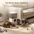 Load image into Gallery viewer, 6L Smart Cat Feeder with HD Camera for 2 Cats Dual-band WiFi & App Timed Feeding
