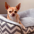 Load image into Gallery viewer, Dog Sofa for XS-Sized Dogs, Elevated Pet Bed with Removable Sponge Padded Cushion, Cat Couch Lounge with Washable Cover, Storage Bag, Grey
