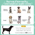 Load image into Gallery viewer, Elevated Dog Bed with Canopy, Cooling Dog Cot Bed for Camping, Portable Raised Pet Cot with Washable Breathable Mesh, for Indoor Outdoor, S & M Dogs, 30" x 24" x 27", Grey
