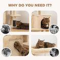 Charger l'image dans la visionneuse de la galerie, Cat Tree for Large Cat Adults, 41 Inch Cat Tower for Indoor Cats w/ Scratching Posts, Cat Bed, Condo, Grooming Brush, Jumping Platforms, Toy Balls, Anti-tip Kit, Beige
