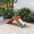 Load image into Gallery viewer, Dog Agility Equipment, Dog Playground Equipment with Non-slip Surface, A-frame, Agility Ramp for All Breeds, for Garden, Park, Puppy Obstacle Course, Orange
