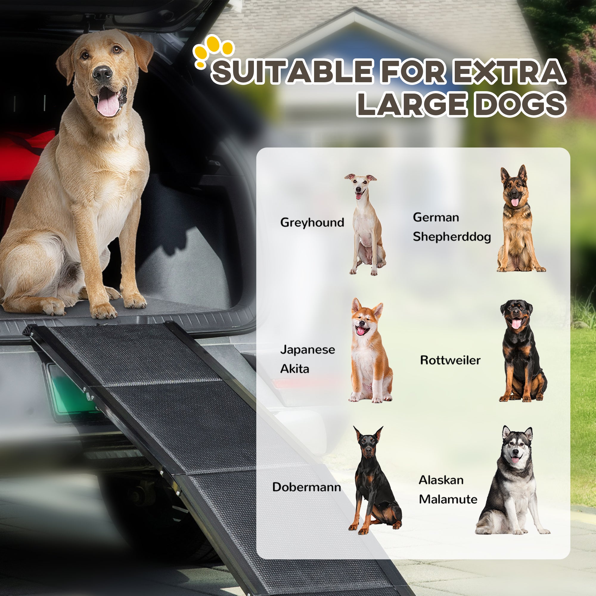 Folding Pet Ramp, 62 Inch Lightweight Portable Dog Ramp for Extra Large Dogs, Non-Slip Surface for Cars, Trucks and SUVs, Black