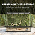 Load image into Gallery viewer, Reptile Glass Terrarium, Reptile Vivarium with Tree Bark Background, Front Ventilation, Escape-Proof Knob Lock, Glass Enclosure for Lizards, Horned Frogs, Snakes, 50 x 30 x 35 cm, Black
