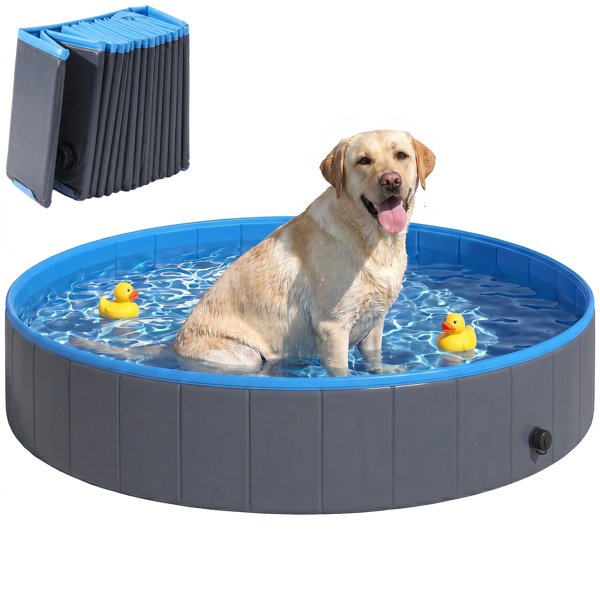 Foldable Dog Pool for Puppies and Ducks, Thickened PVC Dog Paddling Pool Bath Tub Hard Board, Anti-Slip Bottom and Hose Adapter for Easy Drainage, 160 x 30cm, Blue and Dark Grey