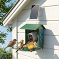 Load image into Gallery viewer, Smart Bird Feeder with Camera, AI Identify 16000+ Birds, 2K HD Live Video, Auto Video Capture, Motion Detection, Instant Arrival Alerts, 3W Solar Powered, Bird Lover Gifts
