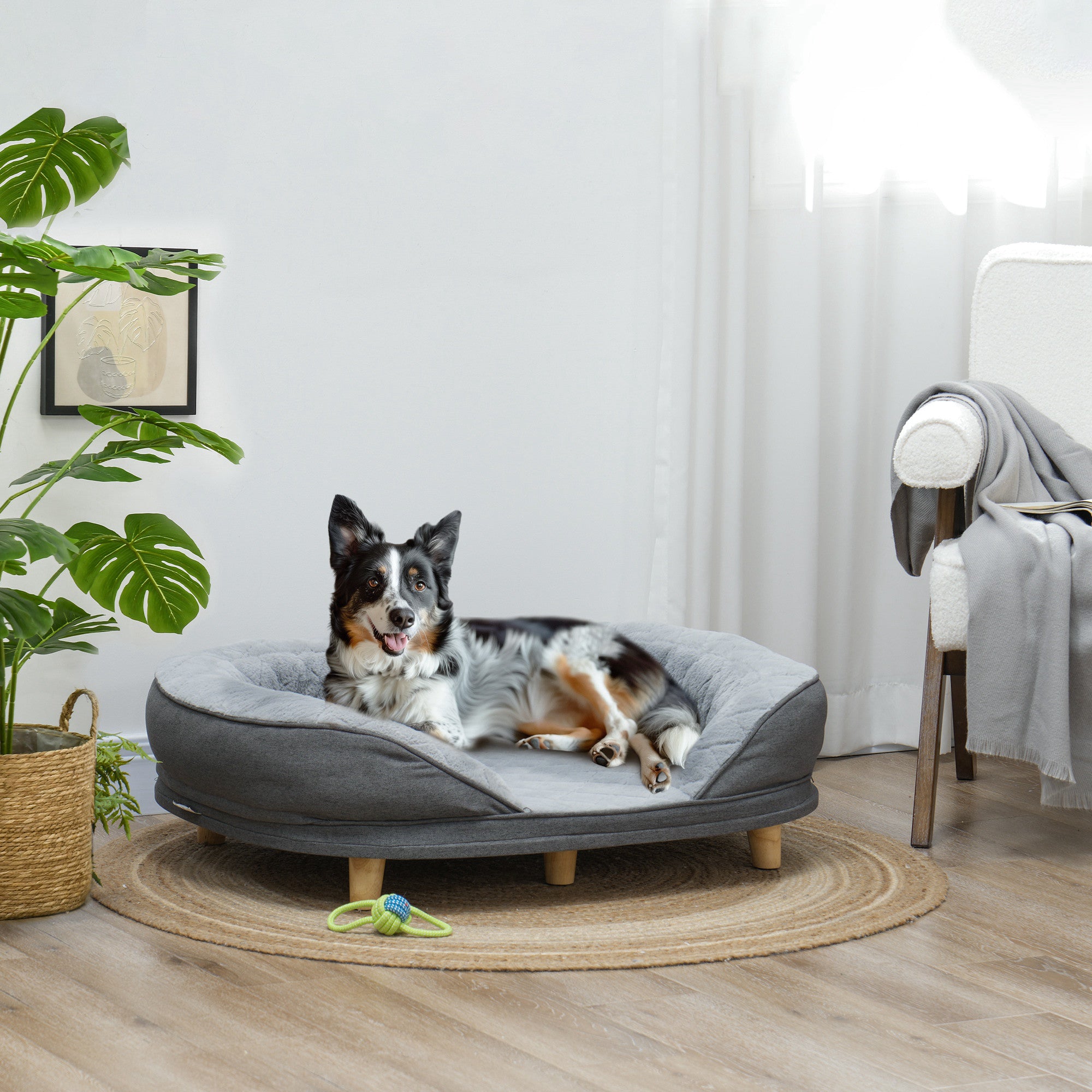 Dog Sofa Bed for Large Sized Pet, Cat Sofa with Soft Velvet Fabric, Removable Cushion, Washable Cover, Anti-Slip Foot Pads, 55 lbs Dog Couch, Grey