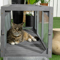 Load image into Gallery viewer, PawHut Outdoor Cat Tunnel with Extendable Design, 59" L Wooden Cat Run with Weather Protection, Connecting Inside and Outside, for Deck Patios, Balconies, Gray
