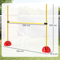 Load image into Gallery viewer, 4 Piece Agility Training Equipment for Dogs with Height Adjustable Jump Hurdle, Bag, Portable, Easy Assemble Dog Outdoor Obstacle Course for Training

