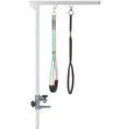 Load image into Gallery viewer, Foldable Pet Grooming Arm w/ Clamp 30 Inch Height Adjustable, Dog Grooming Loop, Two No Sit Haunch Holders for Small Medium Dogs, Sliver
