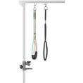Load image into Gallery viewer, Foldable Pet Grooming Arm w/ Clamp 30 Inch Height Adjustable, Dog Grooming Loop, Two No Sit Haunch Holders for Small Medium Dogs, Sliver
