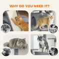 Charger l'image dans la visionneuse de la galerie, 63" Cat Tree, Cat Tower for Indoor Cats with Scratching Posts, Cat Condos, Bed, Platforms, Ramp, Toy Ball, Cat Activity Center, Light Grey
