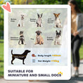 Load image into Gallery viewer, Dog Pram Dog Stroller Pet Pushchair with Detachable Carrier Soft Padding, Safety Leashes, for Mini and Small Dogs - Grey
