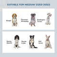 Load image into Gallery viewer, Raised Dog Bowl Feeding Bowls with Stand for Medium Dogs Elevated Pet Bowls Water Food Feeder 58L x 31W x 25H cm - Grey

