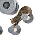 Load image into Gallery viewer, Cat Wall Shelves, 5PCs Cat Shelves with Scratching Post, Perches, Ladder, Steps, Condo, Wall Mounted Cat Climber, Grey
