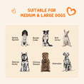 Load image into Gallery viewer, PawHut Dog Kennel Outdoor with Waterproof Canopy, Dog Run with Galvanized Chain Link, Secure Lock, for Backyard and Patio, Large and Medium Sized Dogs, 9.3' x 4.6' x 5.2'
