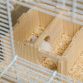 Load image into Gallery viewer, Hamster Cage, Transparent Small Animal House with Deep Bottom, Wooden Ramp, Hut, Bathroom and Exercise Wheel for Hamster and Gerbil, 23.2" L x 14" W x 18.5" H, White
